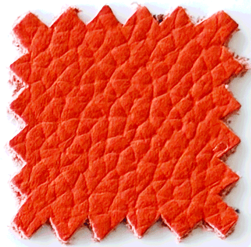LEATHER Burnt Orange