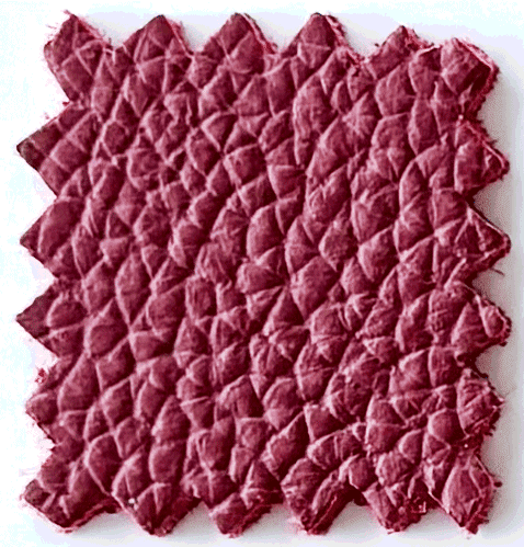 LEATHER Scarlet